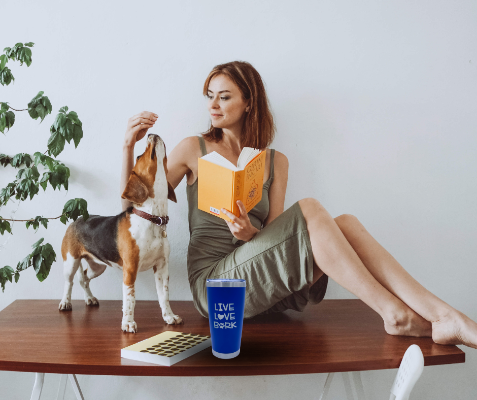 Termo de Acero Inoxidable - 600 ml: Tu Compañero Perfecto para tus Bebidas Caliente