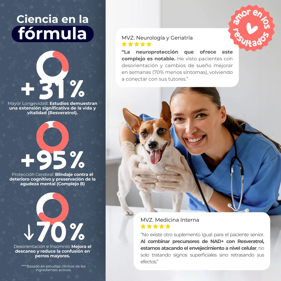 Waggy’s NAD+ – Suplemento de Vitalidad y Envejecimiento Saludable para Perros