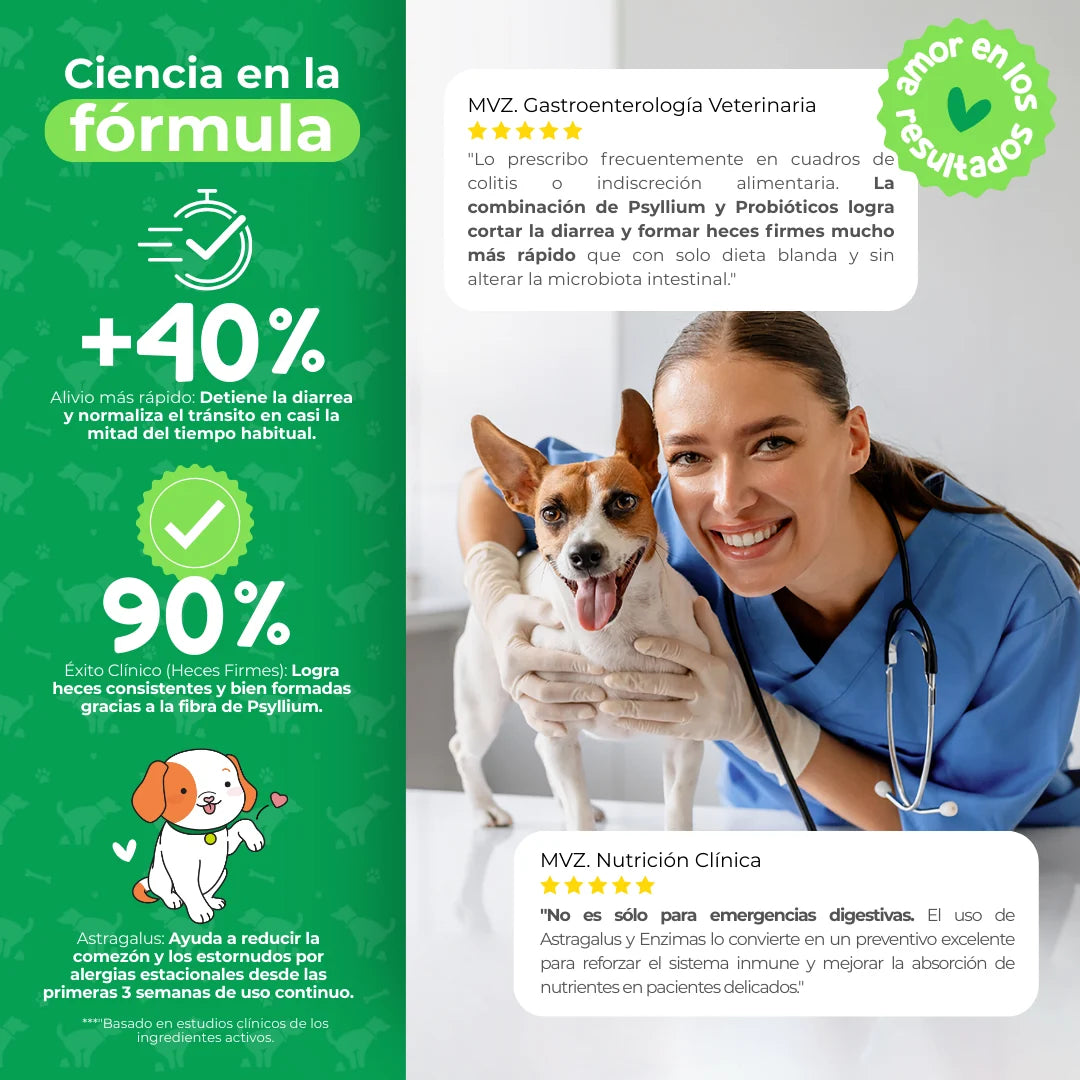 Waggy’s Belly – Probióticos para Digestión y Alergias en Perros