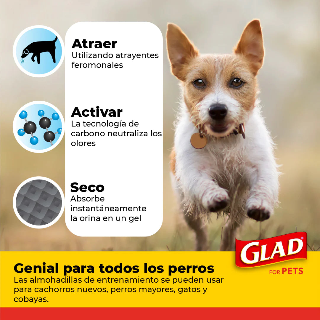 Glad / Tapete entrenador 5 capas / A prueba de fugas, Elimina olores, convierte la orina en gel / 14 pz