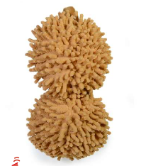 Peluche con forma de guanábana con squeaker y espacio para premio