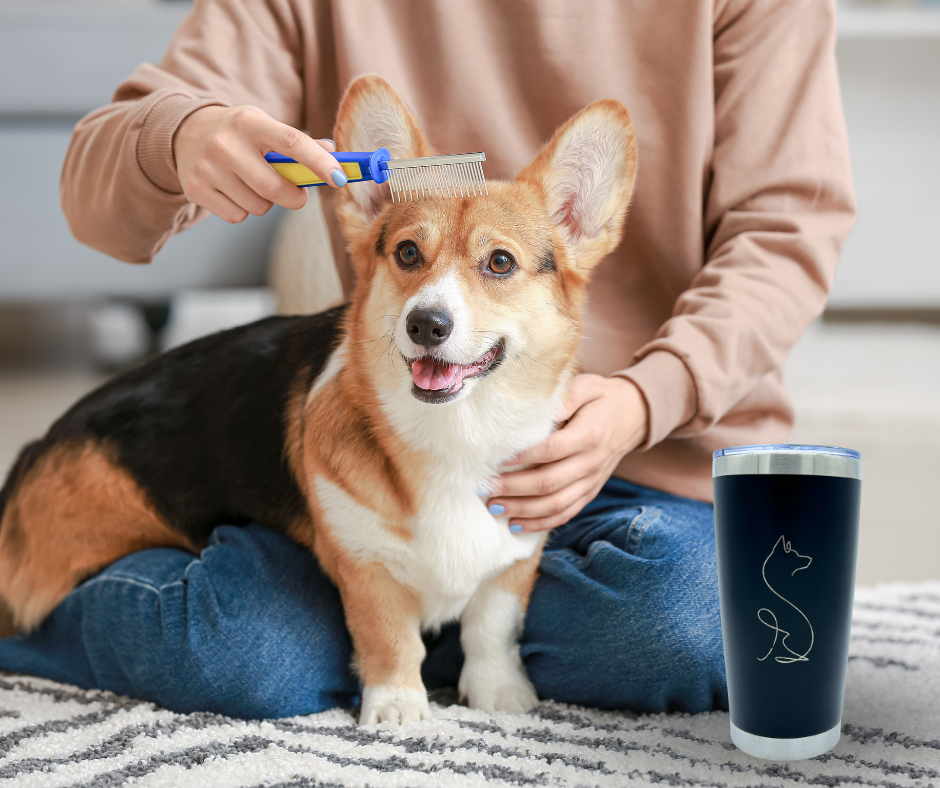 Termo de Acero Inoxidable - 600 ml: Tu Compañero Perfecto para tus Bebidas Caliente