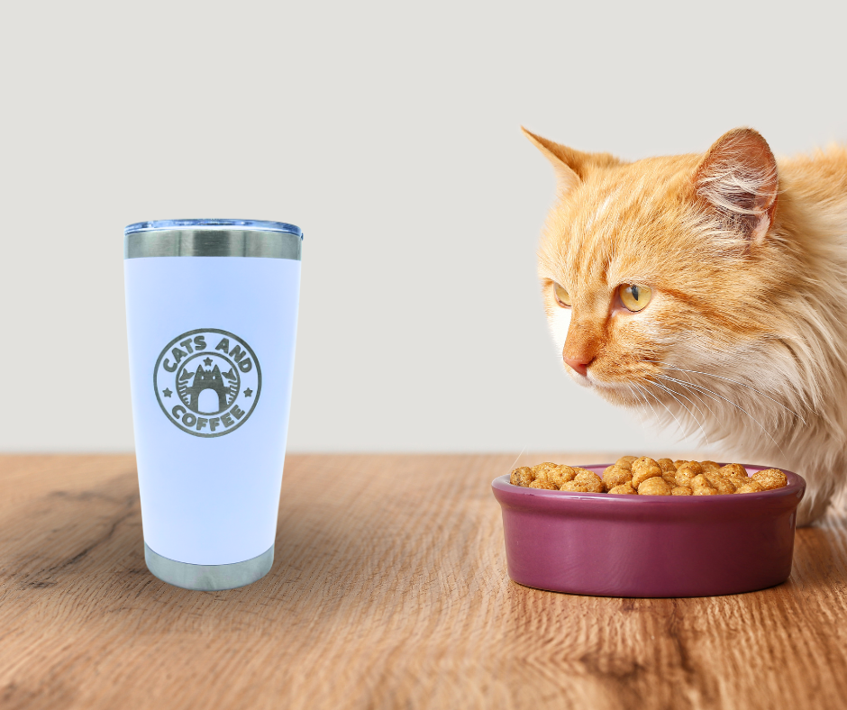 Termo de Acero Inoxidable - 600 ml: Tu Compañero Perfecto para tus Bebidas Caliente