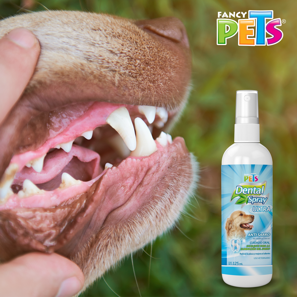 Spray dental para perros / Fancy Pets / 125 ml