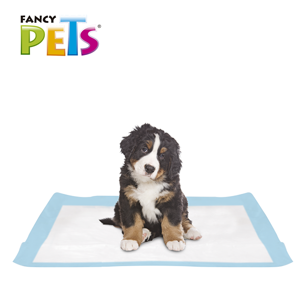 Soft Pad / Tapetes entrenadores / 14 pz / Tamaño XL
