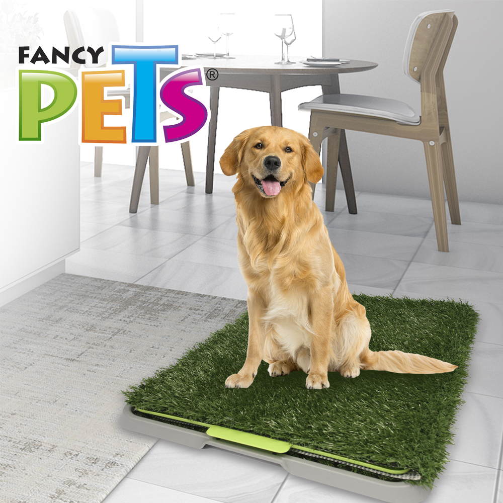 Tapete entrenador grande Doggie grass / Fancy Pets