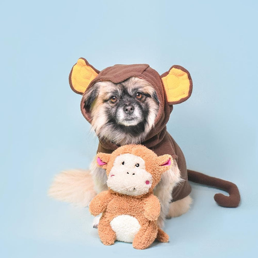 Changuito de peluche / Zippy paws