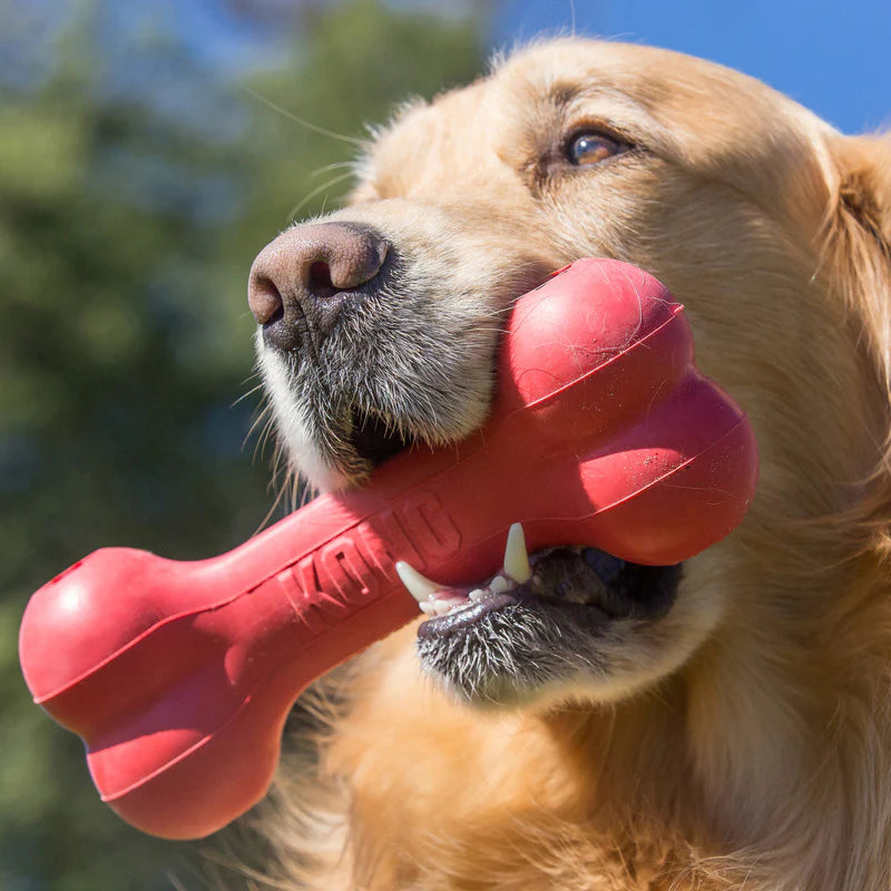 Hueso Goodie Bone™ / Kong / Hueso para premios
