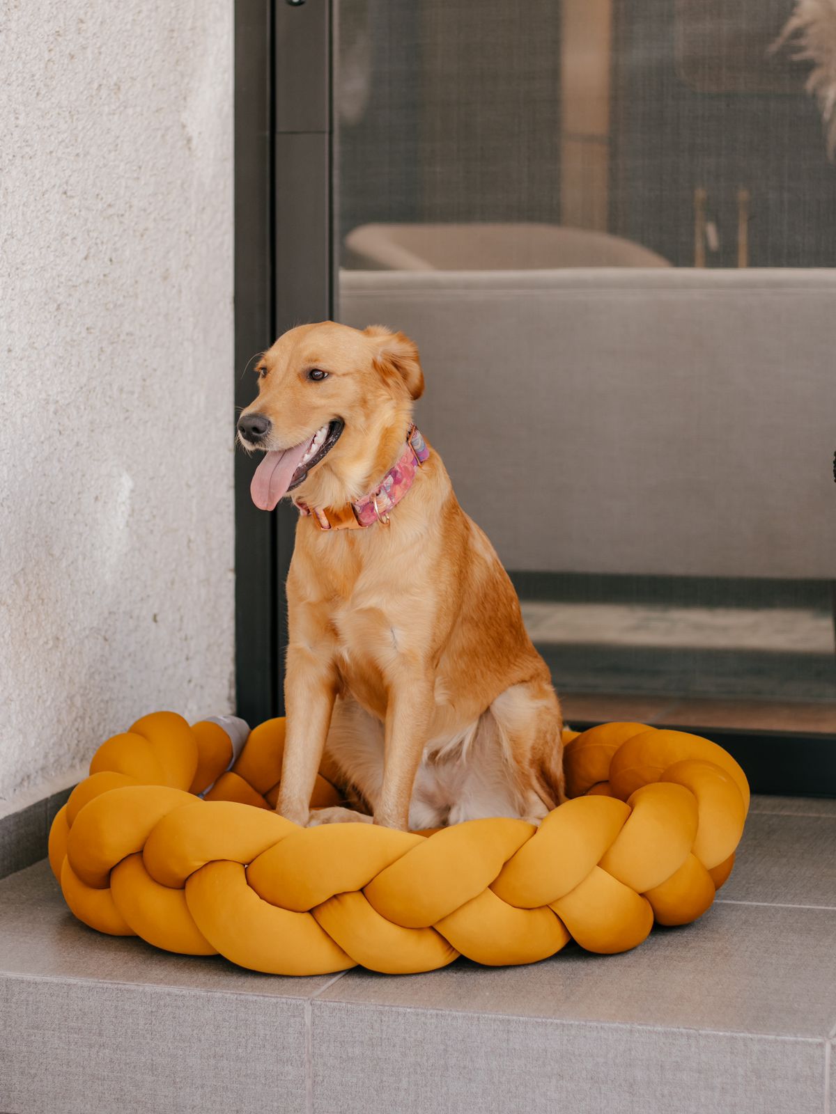 Cama para perro / Copo de luna / Mediana
