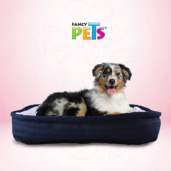 Cama Rectangular Mediana/ Fancy Pets