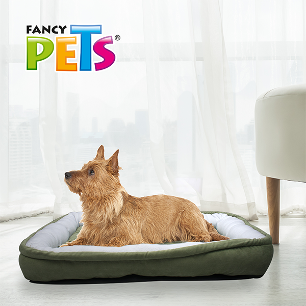 Cama Rectangular Grande / Fancy Pets