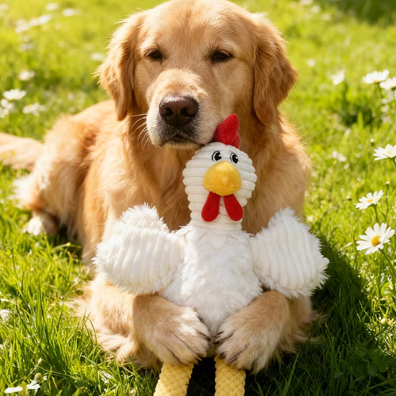 Juguete de peluche para perro / Gallito de peluche