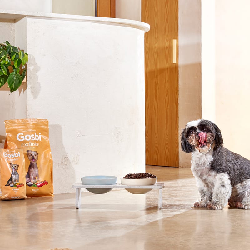 Alimento para perro / Gosbi Exclusive raza mini / Pollo, pescado, legumbres y verduras / 2 kg