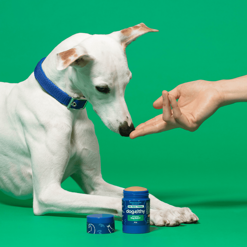 Dogelthy / Dog Balm en tarro / Bálsamo Hidratante para Piel, Patitas y Nariz. Anti Resequedad y Agrietamiento 50g.