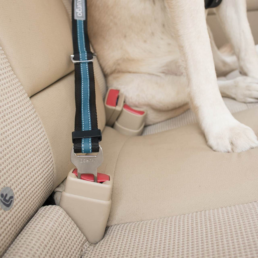 Cinturón De Seguridad para perro / Kurgo® Direct to Seat Belt