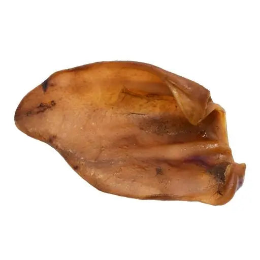 Puerquito chew / Orejas de cerdo deshidratadas / 1 pieza