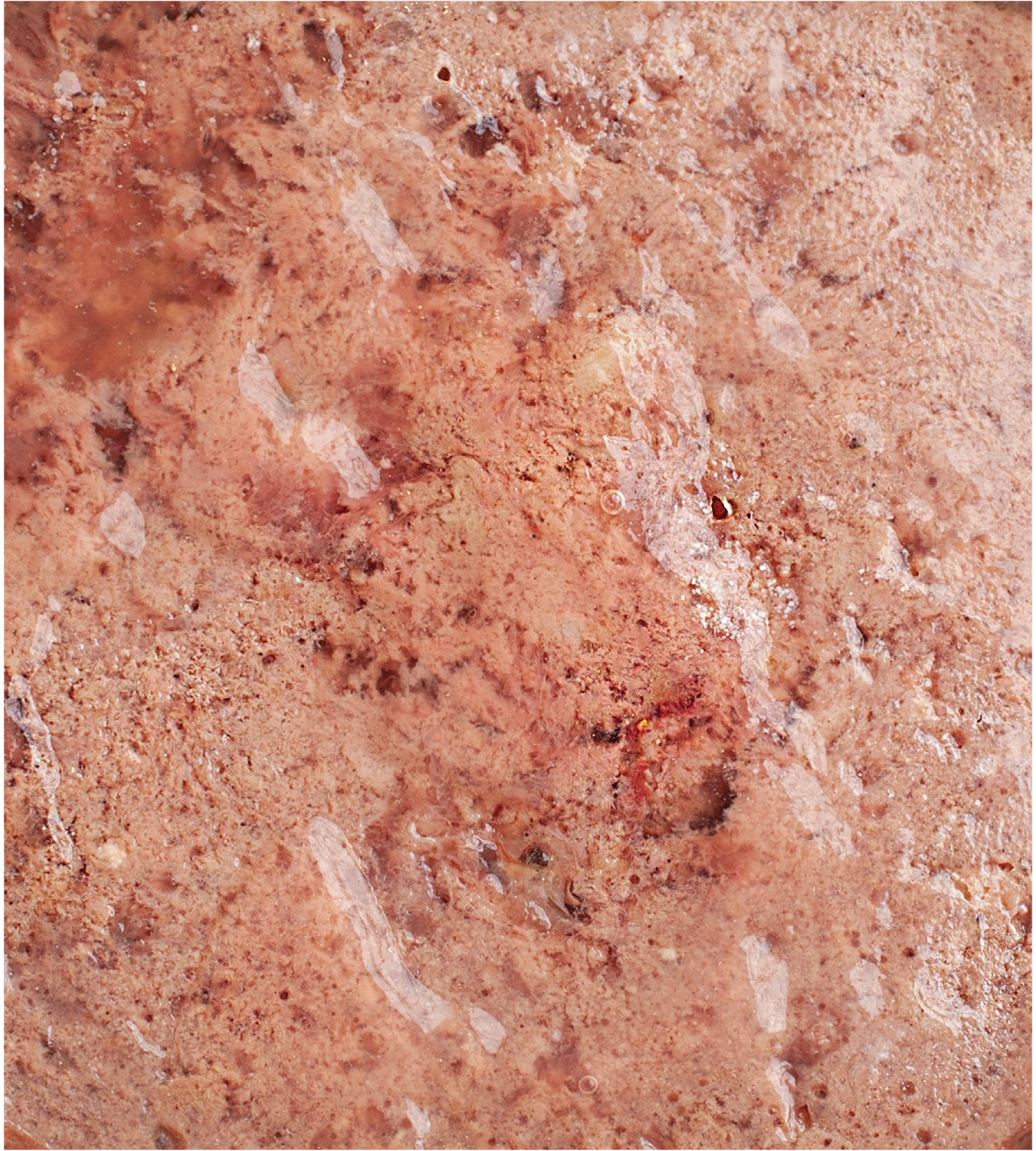 Alimento húmedo para perro / FullTrust / Pavo y Arándanos / 100 gr