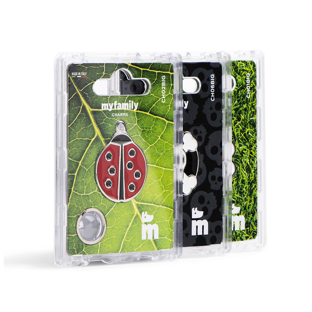 Placa / My Family / Skate