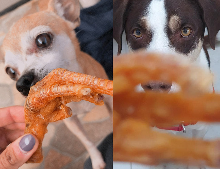 Awesome patitas / Patitas de pollo / 20 pz chicas