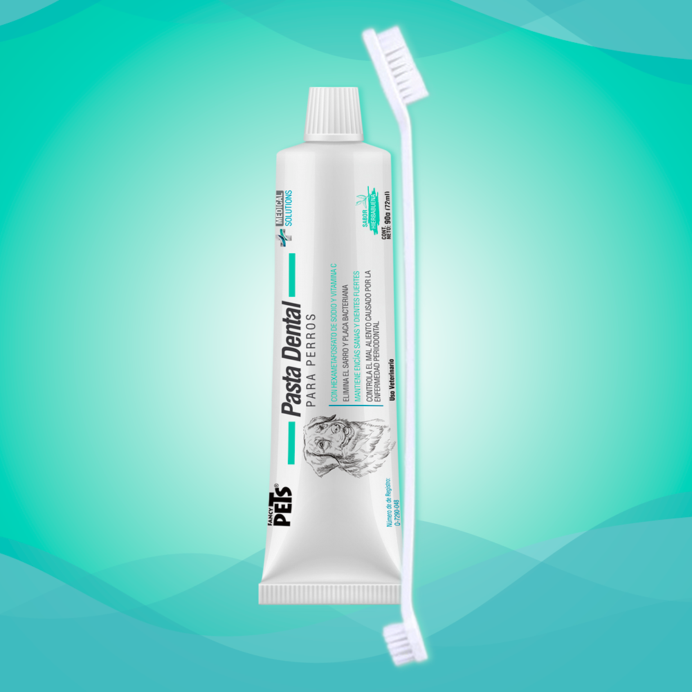 Kit limpieza dental / Medical Solutions