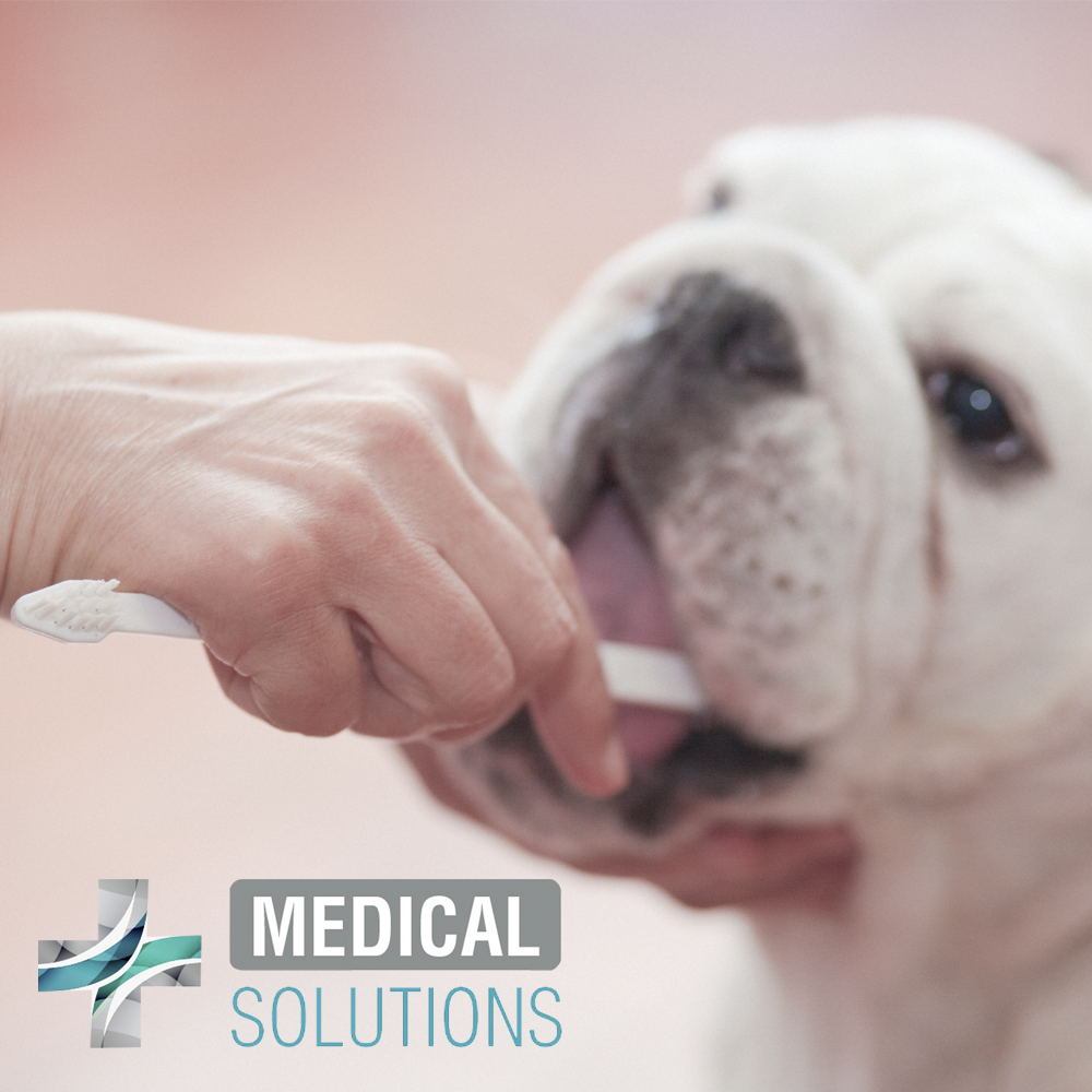 Kit limpieza dental / Medical Solutions