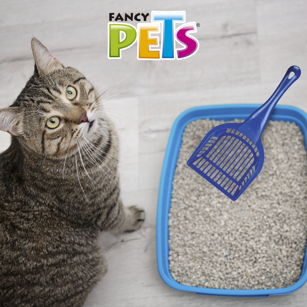 Pala para arenero de gato