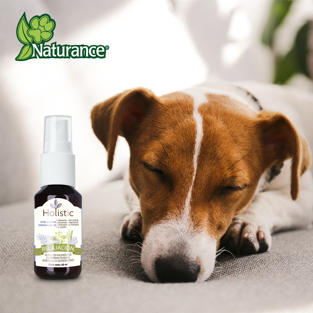Kit de aromaterapia para perro / Relajación