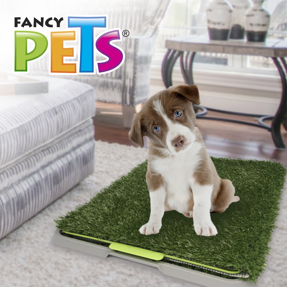 Tapete entrenador chico Doggie grass