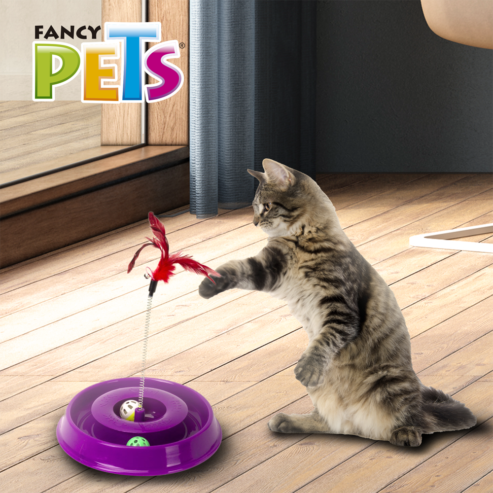 Juguete para gato / Play pista / Fancy pets