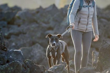 Pechera Front Range Harness® Twilight Gray de Ruffwear (4664780521608)