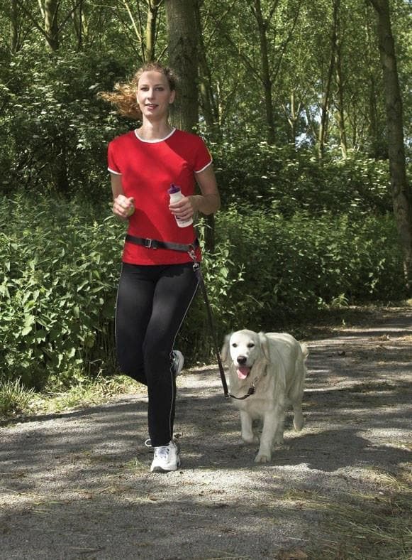 Correa manos libres / PetSafe / hasta 1.4 m