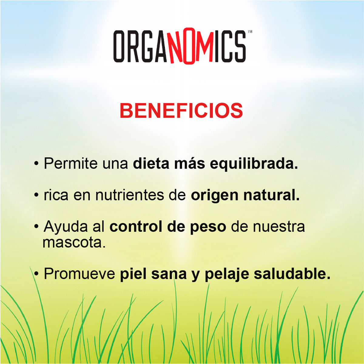 OrgaNOMics / Alimento Húmedo / Ingredientes Orgánicos Gato / Pollo / 156 g