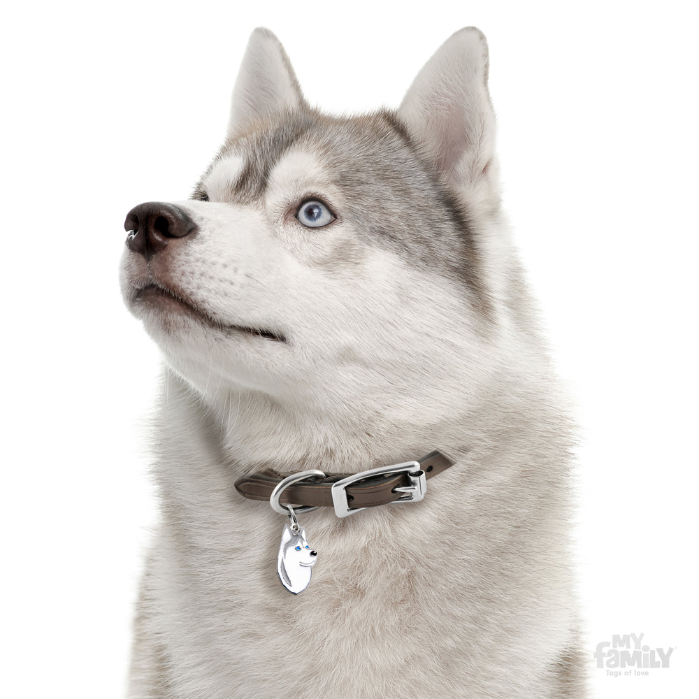 Placa / My Family / Husky Siberiano Gris con blanco