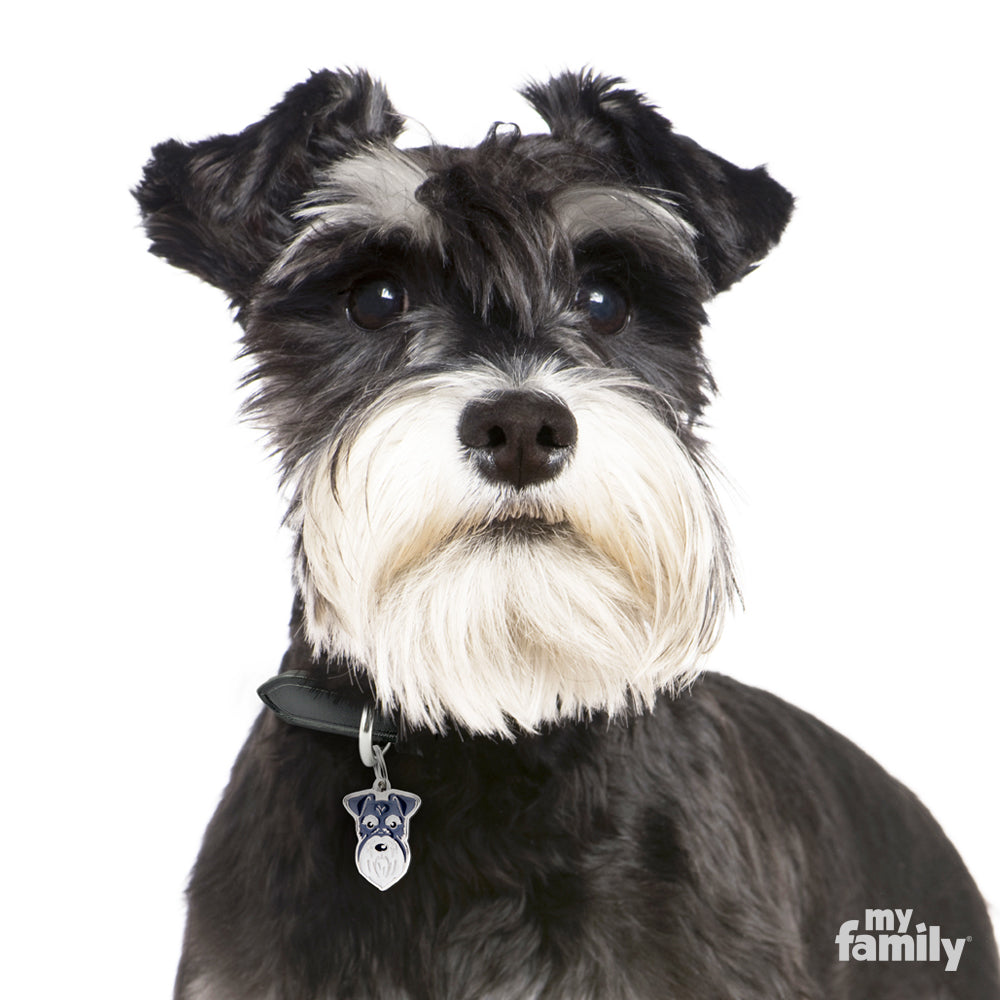 Placa / My Family / Schnauzer Gris
