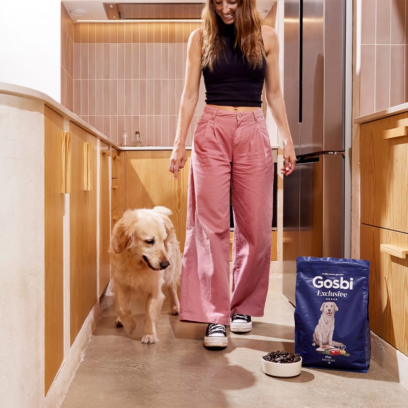 Alimento para perro / Gosbi Exclusive adulto / Salmón y pescado / 3 kg