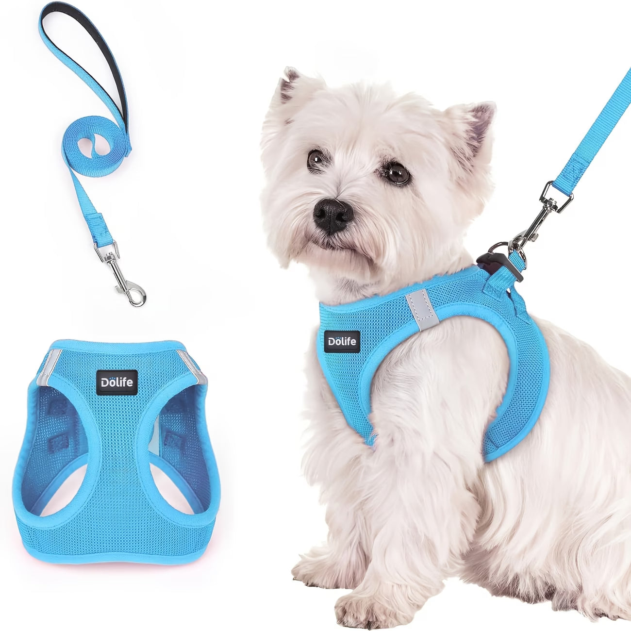 Dölife Arnés Reflectante con Correa para Perro y Gato – Azul Claro Talla S