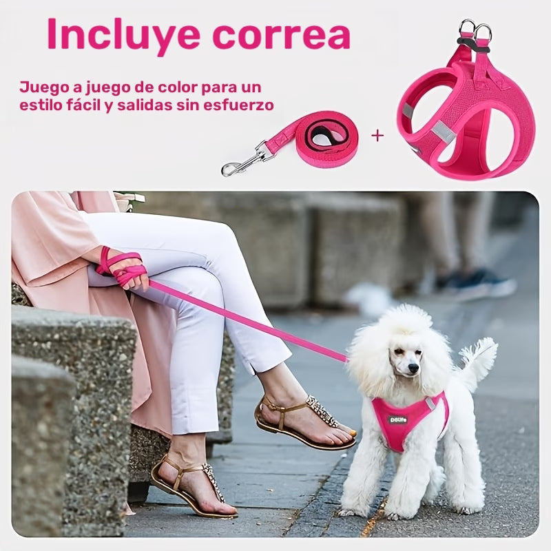 Dölife Arnés Reflectante con Correa para Perro y Gato – Azul Claro Talla S