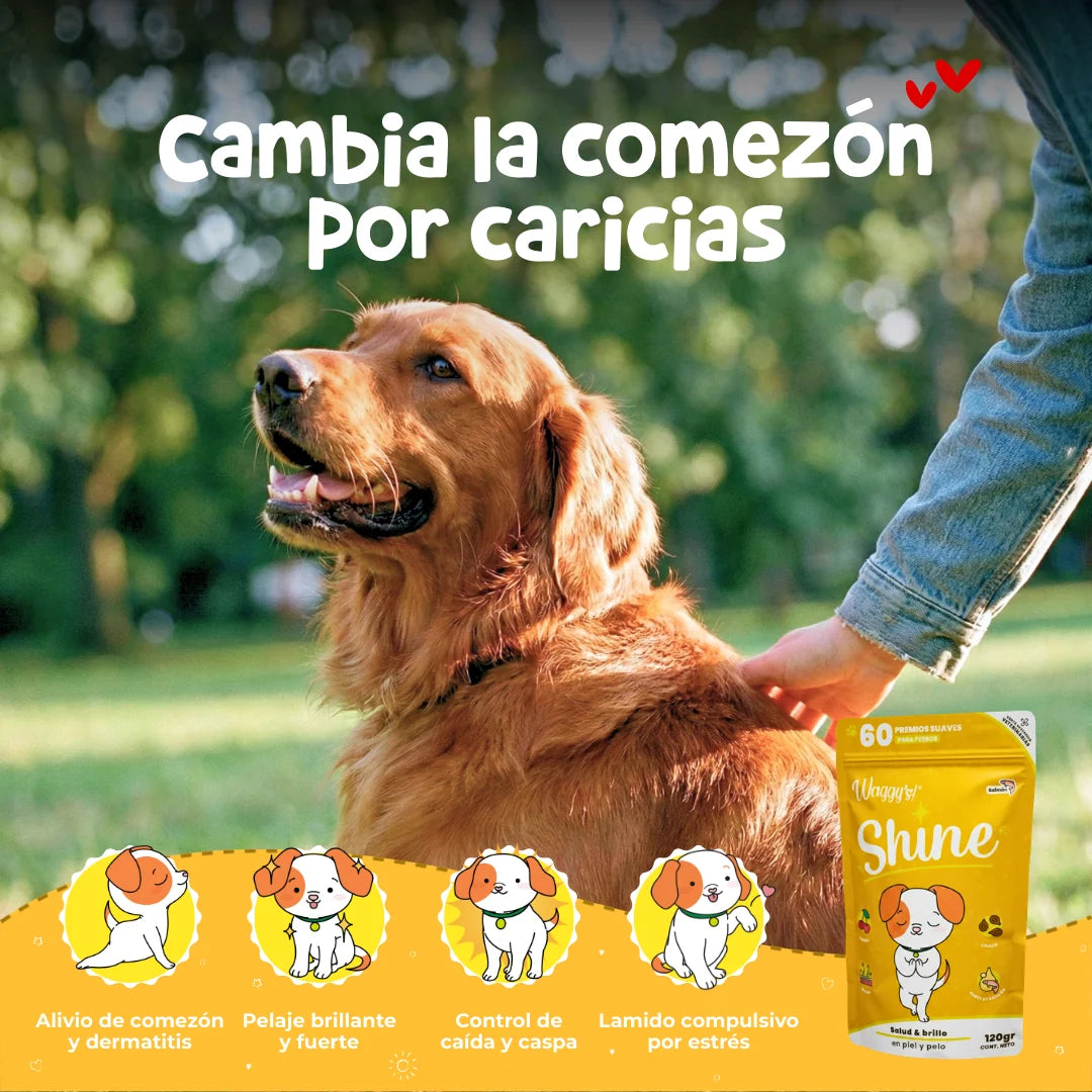 Waggy’s Shine – Suplemento para Comezón, Piel y Caída de Pelo en Perros