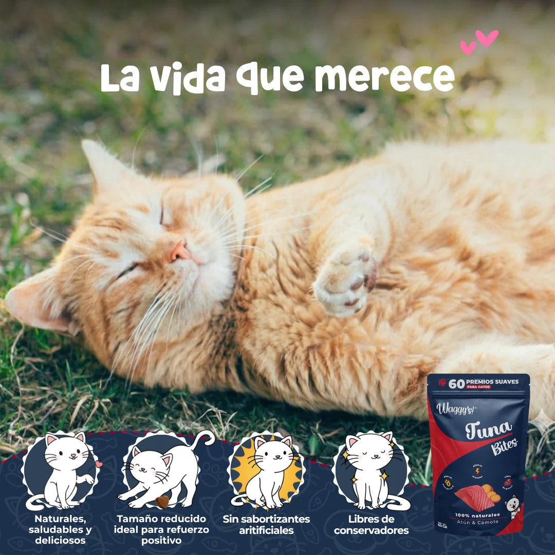 Waggy’s Bites Atún para Gatos – Premios Naturales y Nutritivos