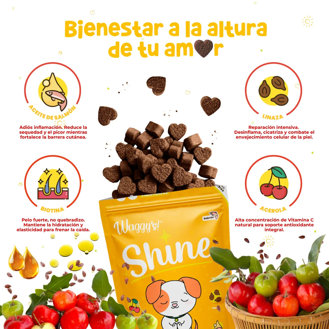 Waggy’s Shine – Suplemento para Comezón, Piel y Caída de Pelo en Perros