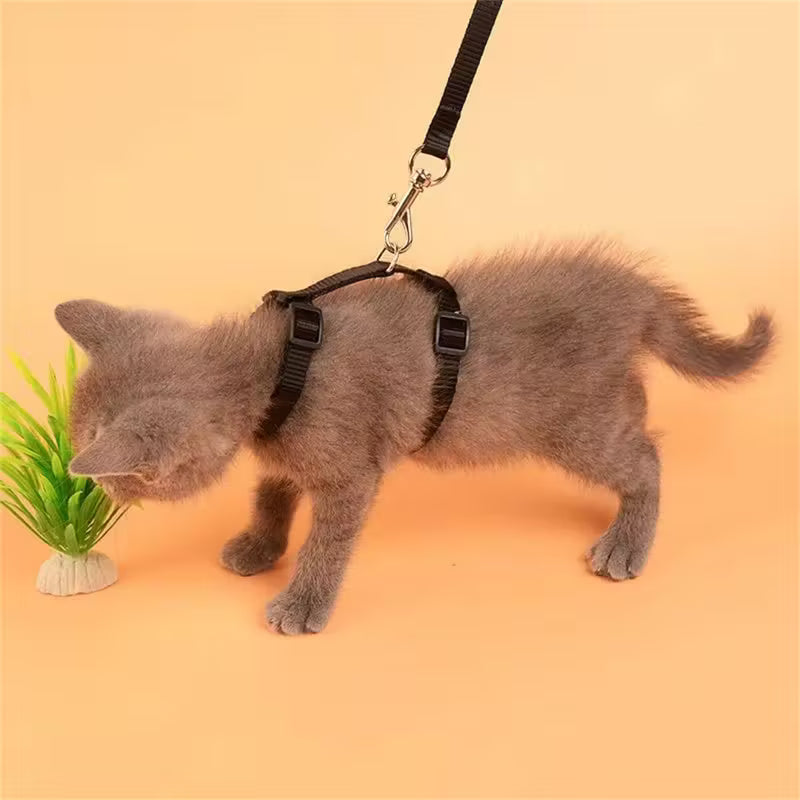 Conjunto de arnés y correa para gatos