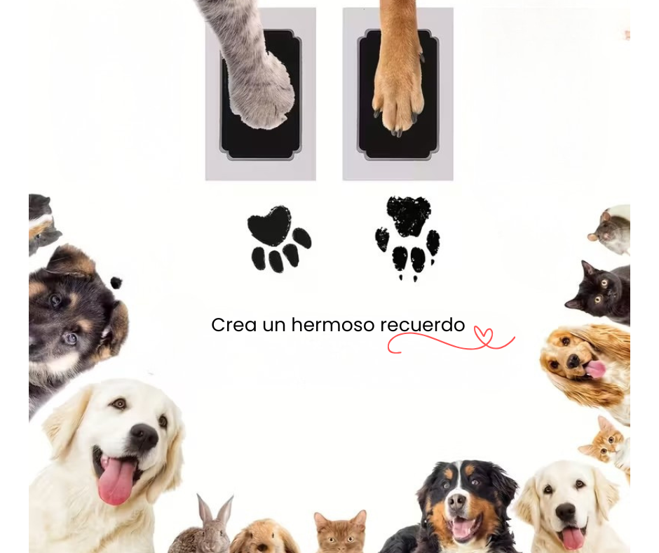 Kit de estampado de patitas / no require tinta / Color dorado 5.5 x 12.5 cm