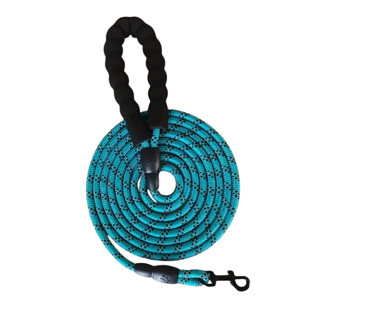 Correa para perro de nailon / 150 cm / Reflectante