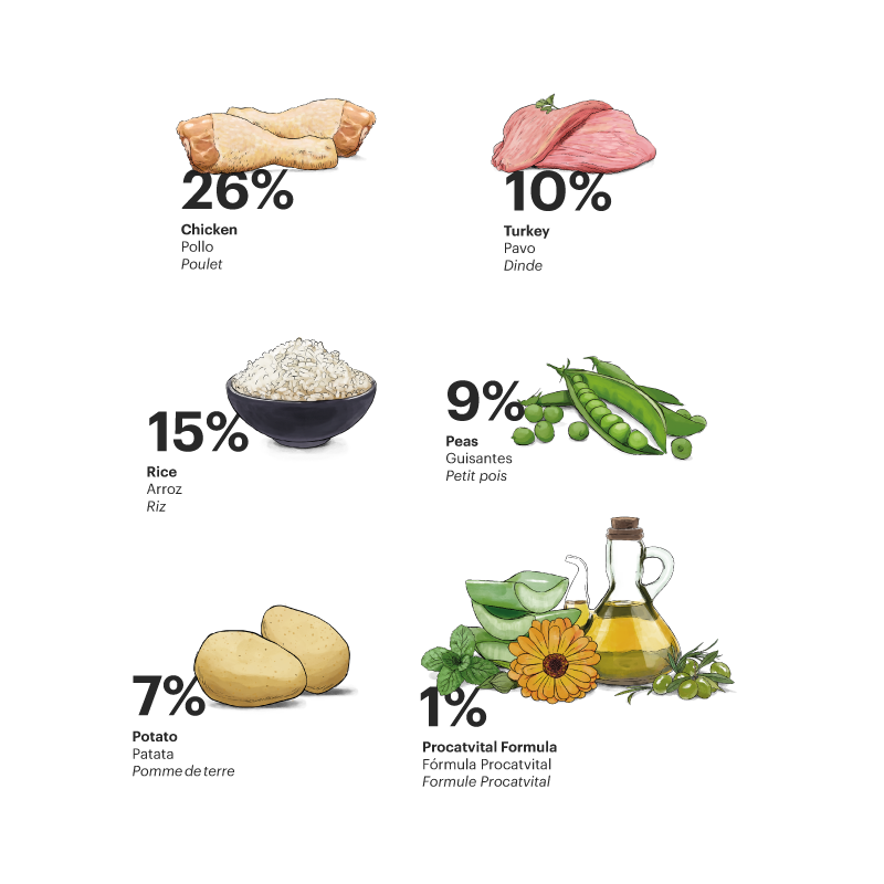 Alimento para gato / Gosbi Exclusive Kitten / Pollo y pavo / 400 gr