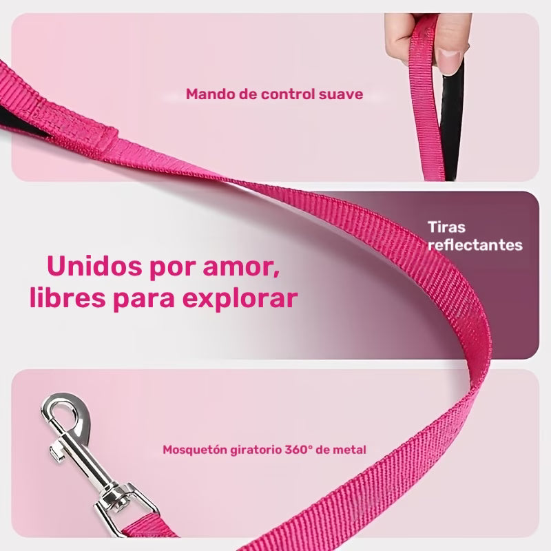Dölife Arnés Reflectante con Correa para Perro y Gato – Azul Claro Talla S
