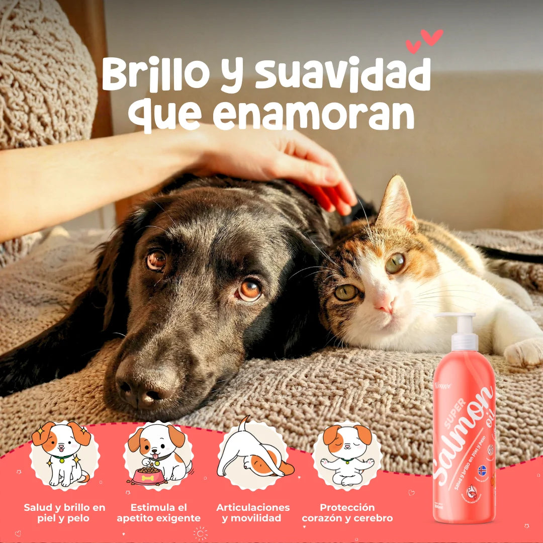 Waggy’s Super Salmon Oil – Aceite de Salmón Silvestre con Omega-3 para Perros y Gatos