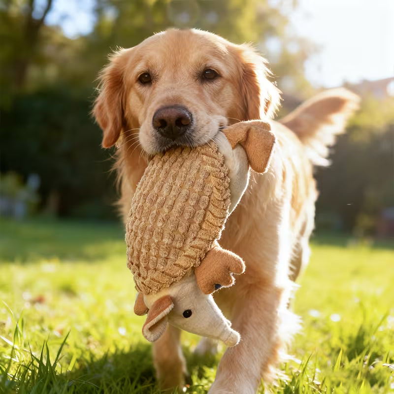 Juguete de peluche para perro / Armadillo