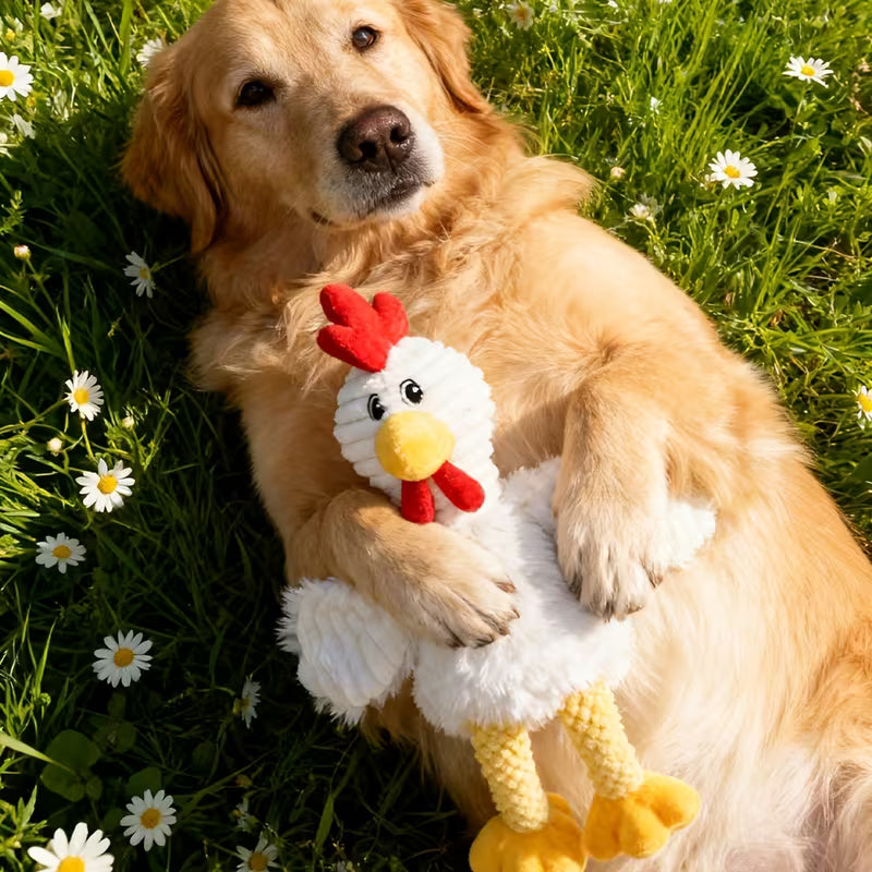 Juguete de peluche para perro / Gallito de peluche