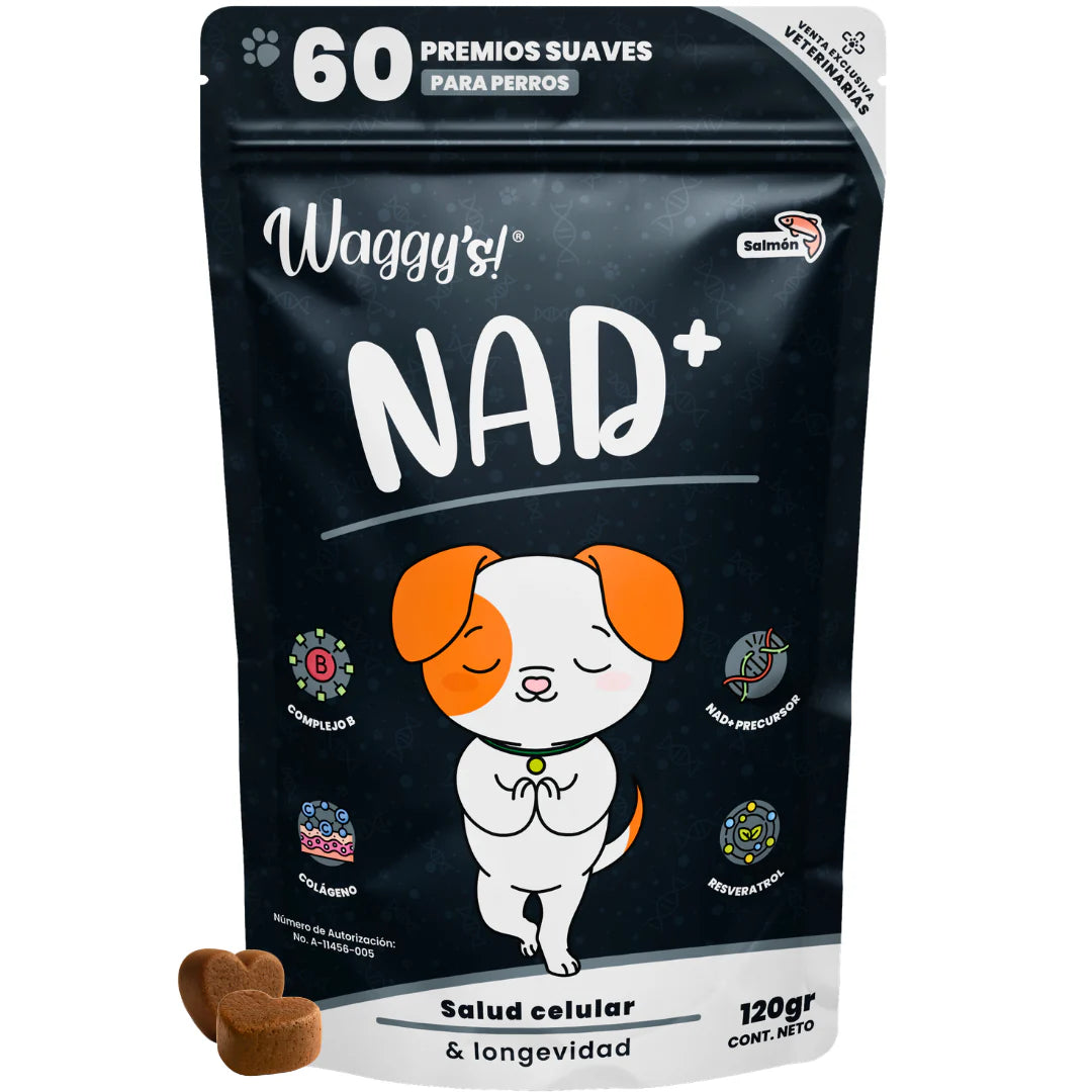 Waggy’s NAD+ – Suplemento de Vitalidad y Envejecimiento Saludable para Perros