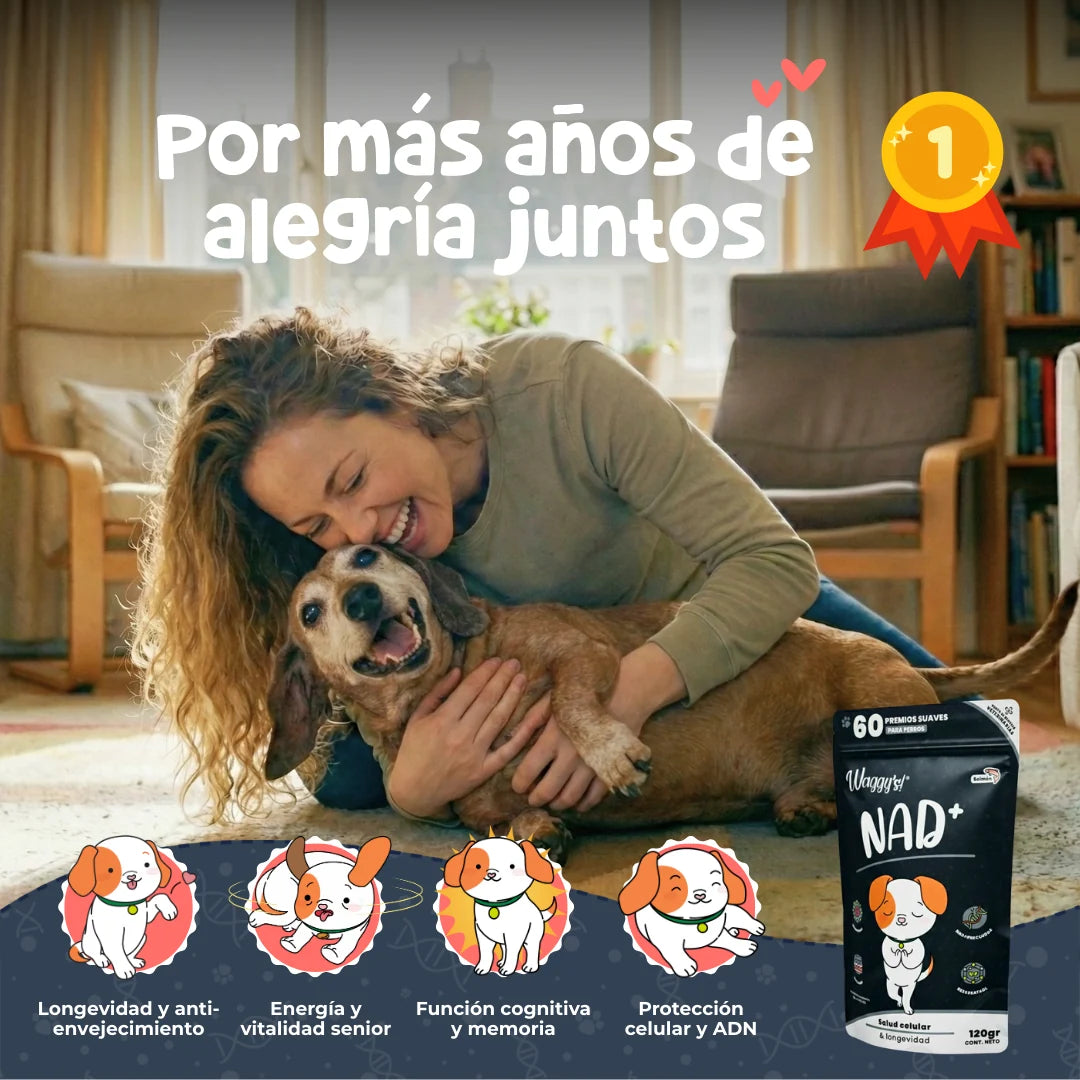 Waggy’s NAD+ – Suplemento de Vitalidad y Envejecimiento Saludable para Perros